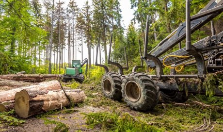Prestations d'abattage, débardage et travaux forestiers en Livradois-Forez