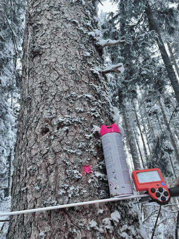 Outils pour estimation forestière