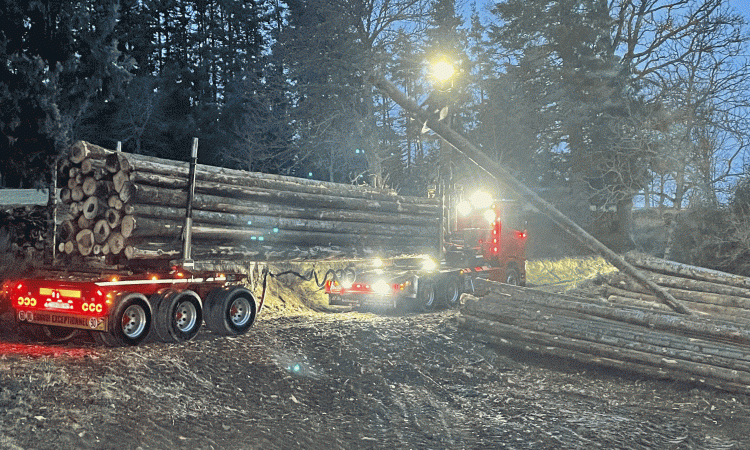 Transport des bois en scierie
