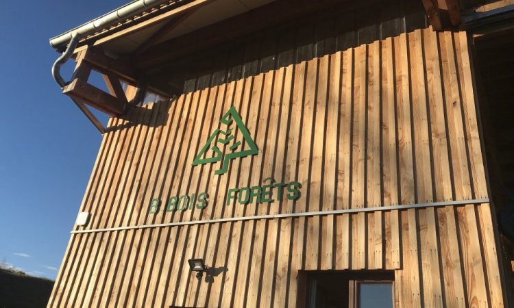 Création du logo B Bois Forêts par une entrepreneuse locale