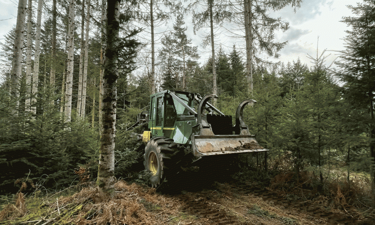 Tracteur forestier