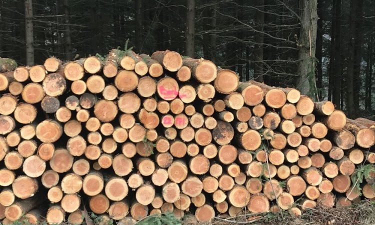 La récolte de bois