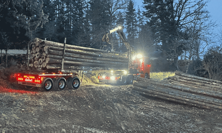 Transport des bois en scierie